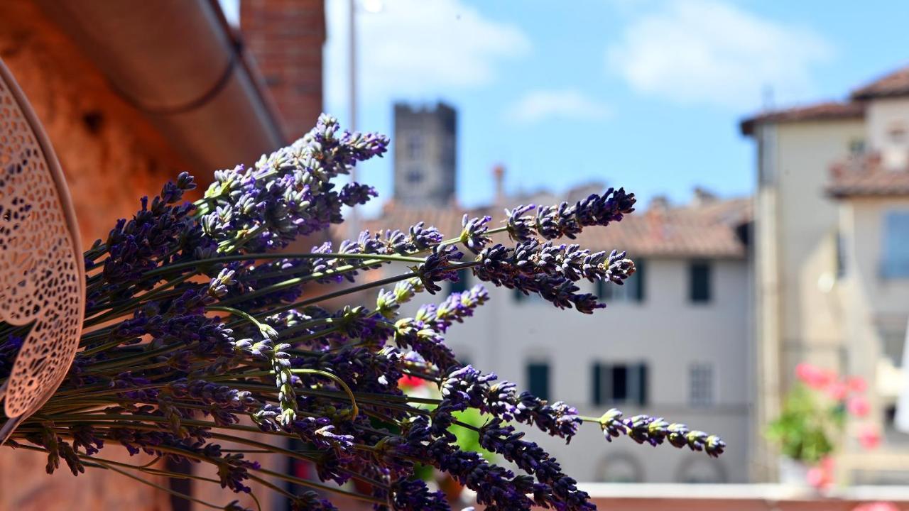 L'Iris B&B In Terrazza Lucca Exterior photo